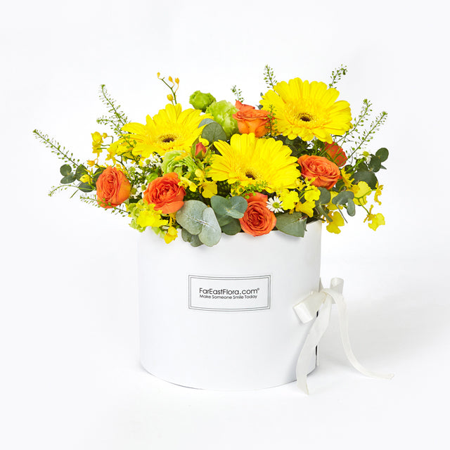 HKPG24 Summer Happiness