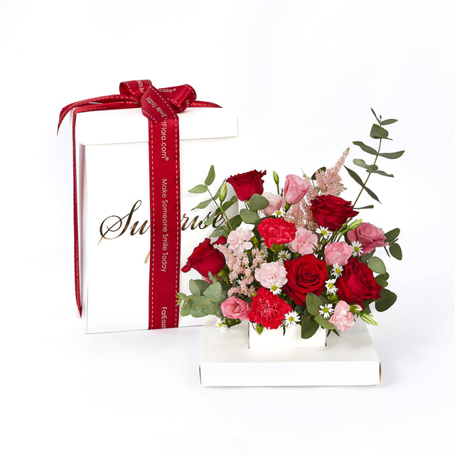 HKPG32 Blooming Surprise (Red)