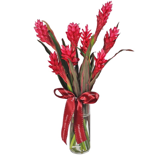 HKTF024 - Ruby Red